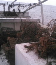 A pile of derelict crab pots.