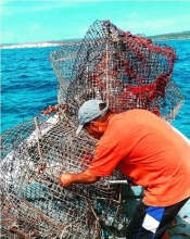 A fisher stacks up derelict fishing traps on a boat.