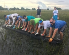 Volunteers work to remove a large piling from the Rachel Carson Reserve. 