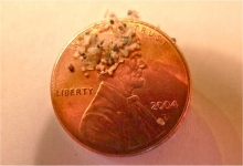 Tiny pieces of plastic with penny for scale. 