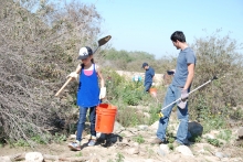Volunteers remove debris and invasive species from a riparian area of the Tijuana River Valley.
