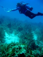 A researcher surveys derelict traps during a towed diver survey. 