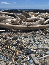 Microplastics on beach. 