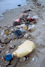 Plastic marine debris on a beach.