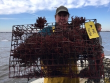 A fisherman holding a derelict crab pot.