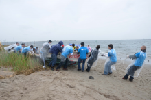 People removing a derelict boat from a beach. (Photo Credit: American Littoral Society)