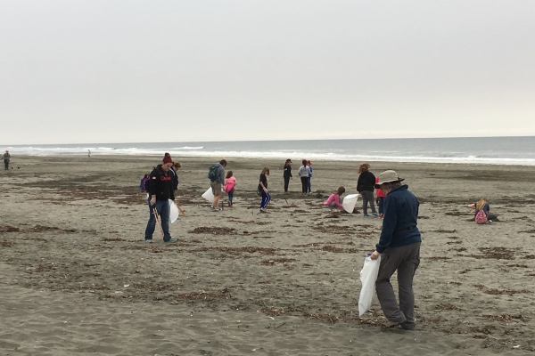 People picking up debris on a beach.