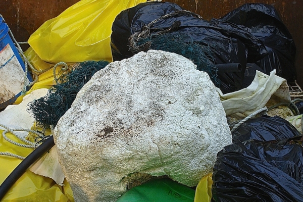 A pile of debris.