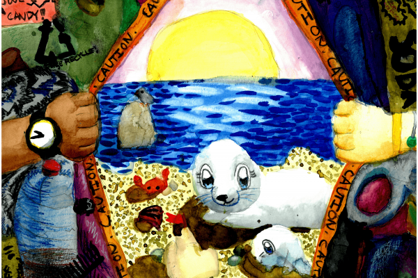 Calendar artwork submission of seals with marine debris. 
