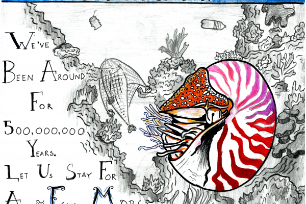 Calendar artwork submission of crustacean.