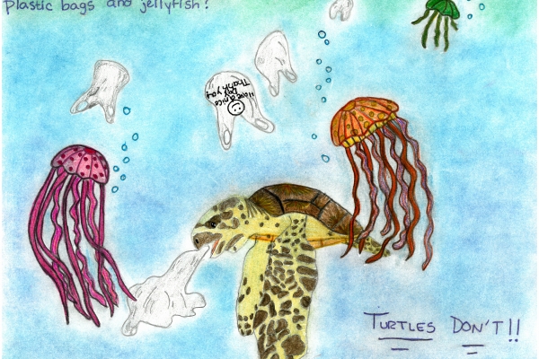 Artwork by Ceirra C. (Grade 7, Maryland), winner of the Annual NOAA Marine Debris Program Art Contest