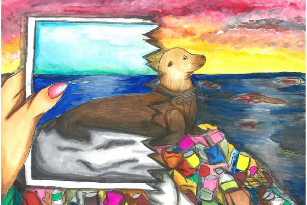 Child's artwork of a seal on a rock with marine debris while someone holds up a photo of a seal on a clean beach.
