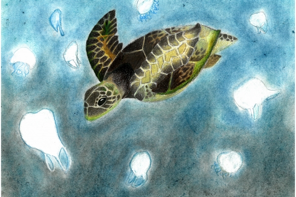 Artwork by Sophie W. (Grade 8, Michigan), winner of the Annual NOAA Marine Debris Program Art Contest