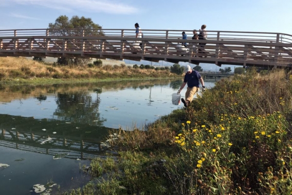 People walking to the shore to clean up debris.