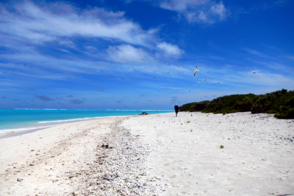 A clean Hawaiian beach.