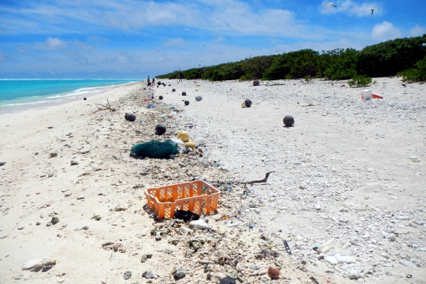 Debris on a Hawaiian beach.