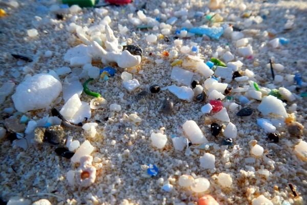 Microplastics in the sand.