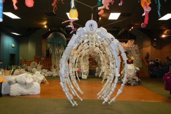 A whale bone structure made of white plastic containers.